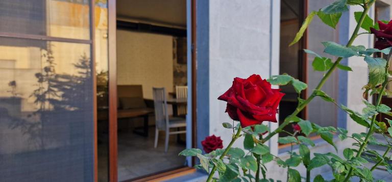 Zeytoun Guest House - B&B Jerevan