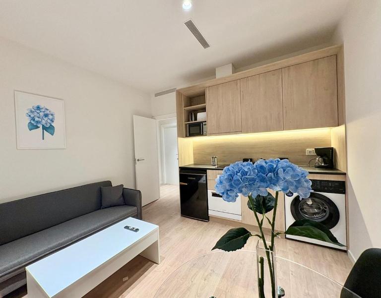 Retiro Residence Hortensia - B&B Madrid