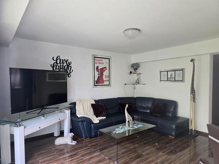 Comfortable apartment very close to the WTC - Bed and Breakfast Mexico-stad