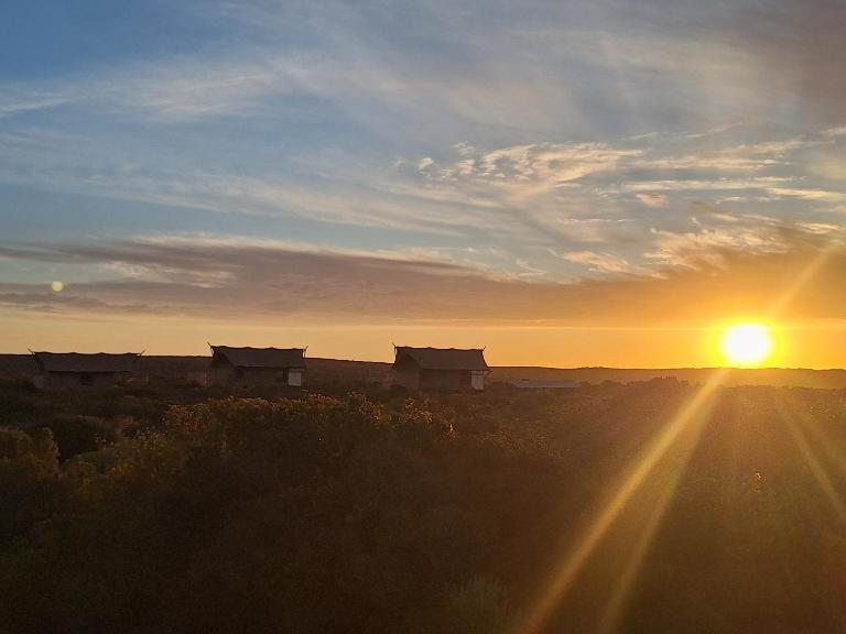 Trekosglamping luxury tents - Bed and Breakfast Vredenburg