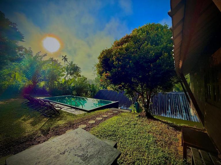 Sinharaja Forest Sanctuary - B&B Deniyaya