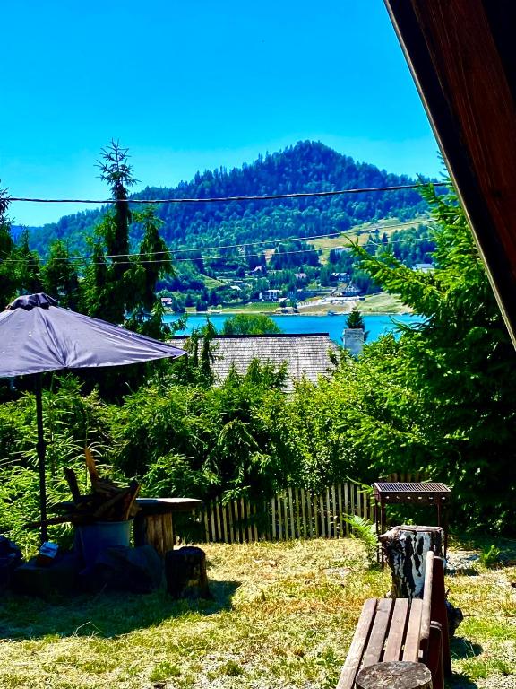 Casa dintre Brazi Colibita - B&B Colibița