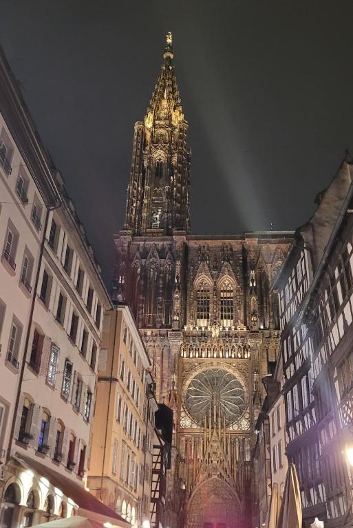 Cocon de Charme au pied de la Cathédrale de Strasbourg - B&B Strasbourg