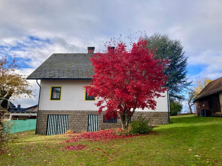 Ferienhaus zur alten Zeder - Ferienwohnung Seyfrieds