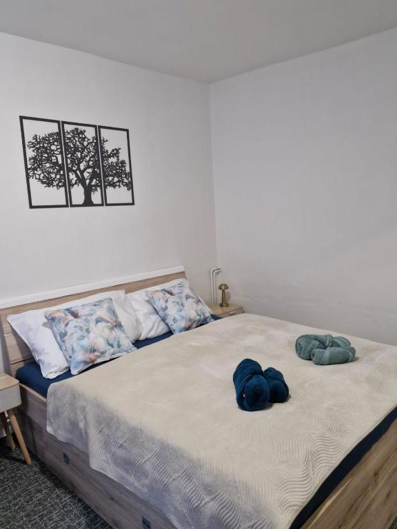 Apartmán Rejštejn - B&B Rejštejn