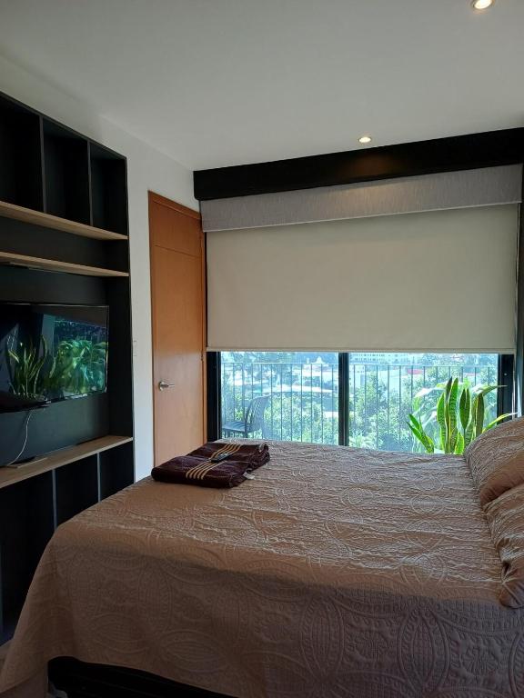 Apartamento en Kanajuyu - B&B Santa Rosita
