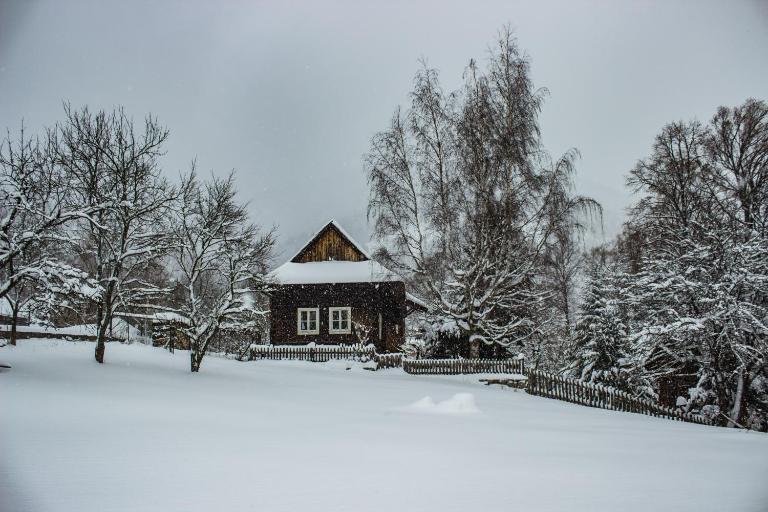 Chichotavá breza - B&B Liptovská Anna