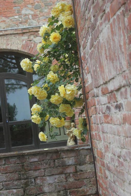 La Burraia di Anna - B&B Abbadia di Montepulciano