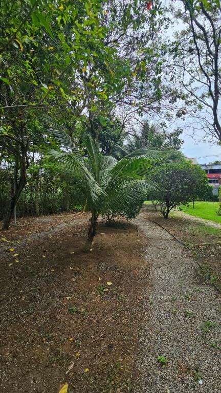 apartamento de 1 quarto próximo ao aeroporto de Vitória - Chambres d'hôtes Serra