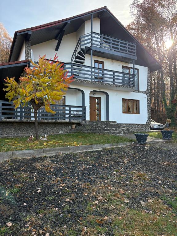 Panorama Challet - Ferienwohnung Gura Râului