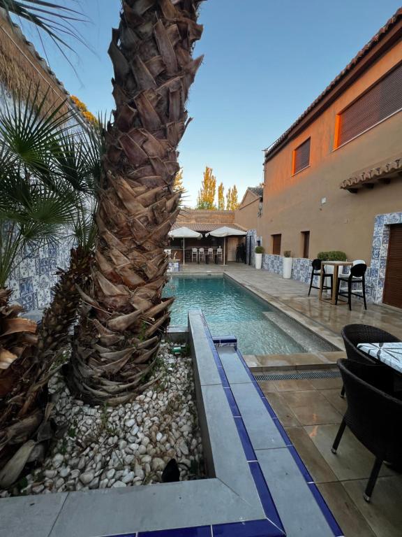 Singular Cotton - B&B Granada