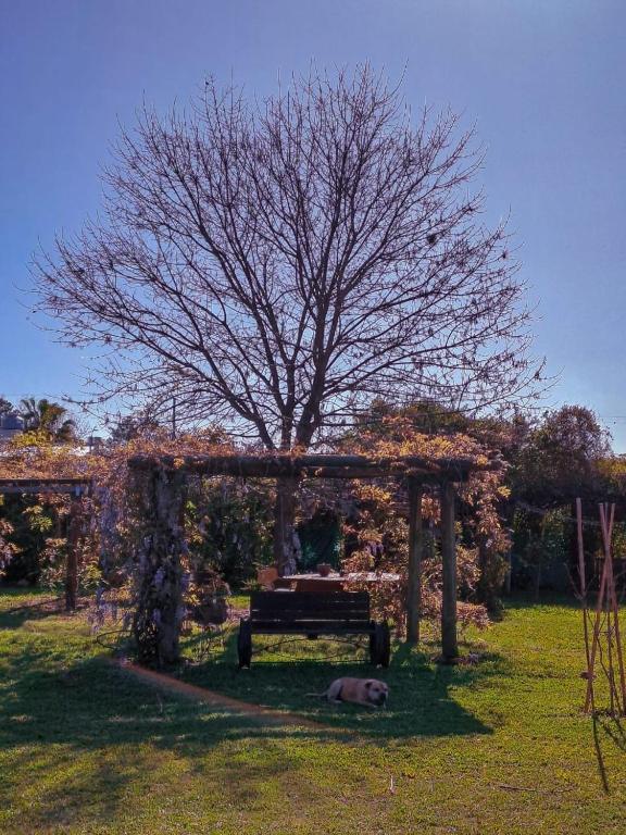 Rincón Campestre Enjoy nature and relax - B&B Concordia