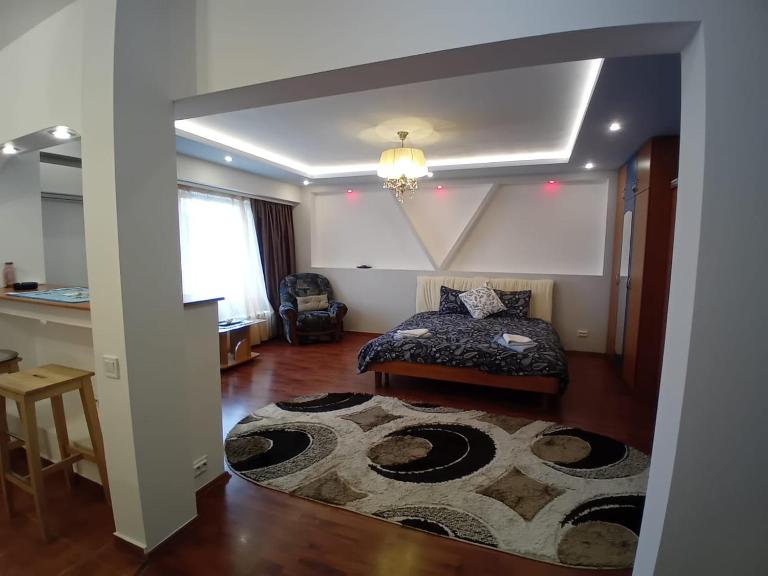 Elixir studio - Bed and Breakfast Boekarest