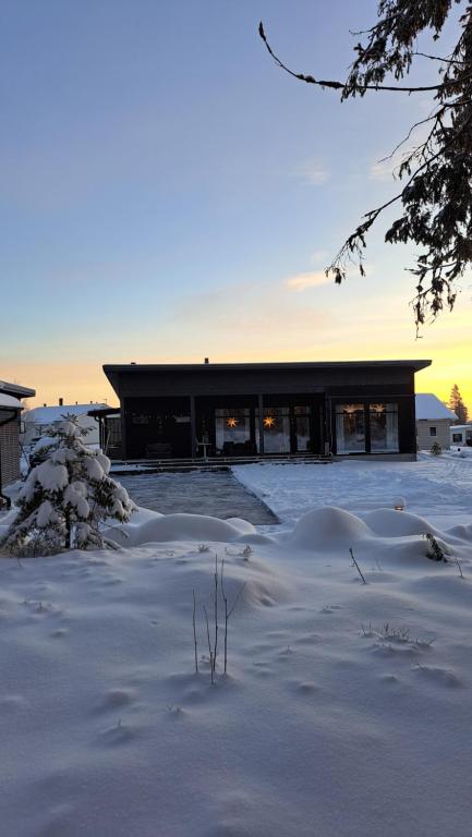 Arctic Giantlog Villa with private ice rink - B&B Rovaniemi