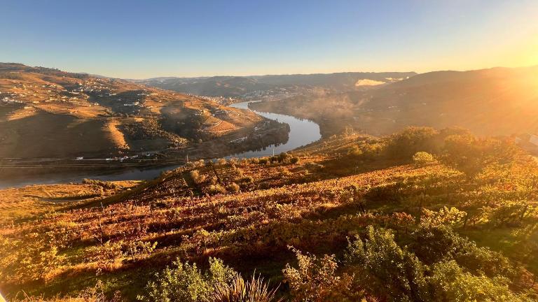Cozy House with Douro View - Bed and Breakfast Lamego