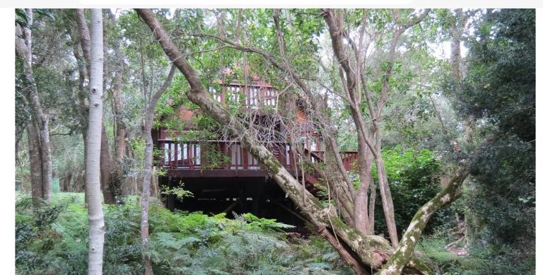 Peaceful Forest Getaway in Natures Valley - Ferienwohnung Nature’s Valley