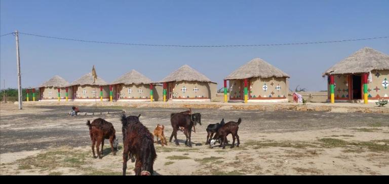 Rann Roshni homestay - Chambres d'hôtes Bherandiāla