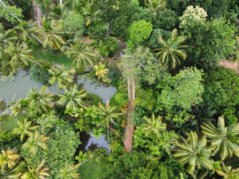 Luminosium Nature Retreat & Heritage Garden - B&B Pannala