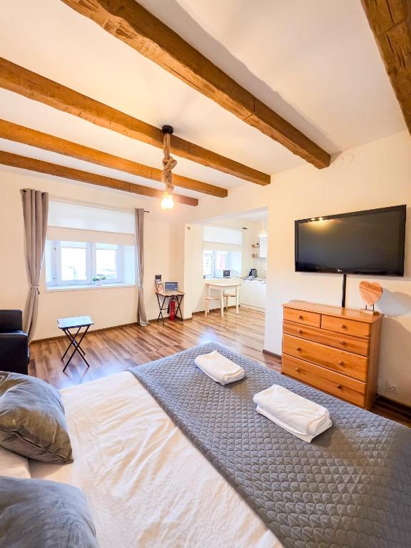 Apartament Jurajski parking 8 minut od alei - Chambres d'hôtes Częstochowa