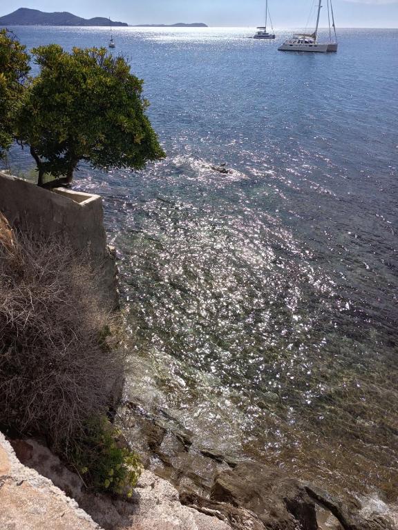 Le Côte d'Azur - B&B Toulon