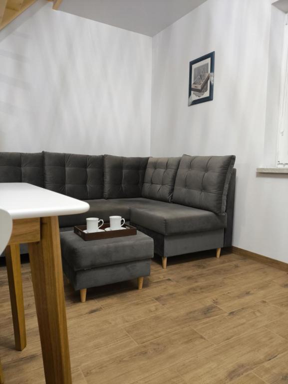 Apartament Pod Gwiazdami - Chambres d'hôtes Czarny Dunajec