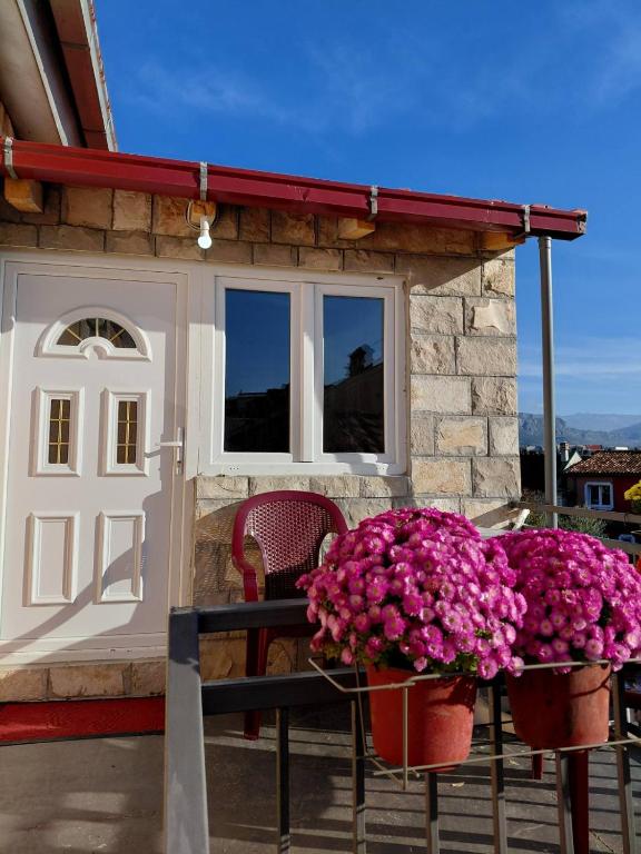 Studio apartman Milena 1 - B&B Podgorica