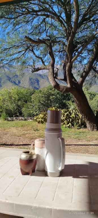 DonPedro - B&B Los Hornillos