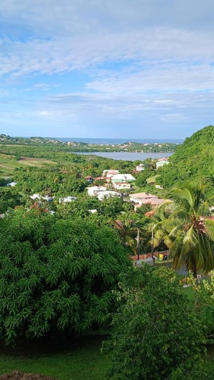 Les locations de Miche - B&B Le Vauclin