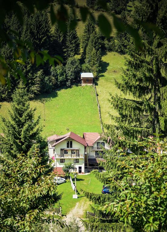 Pensiunea Puiu - B&B Moeciu de Sus