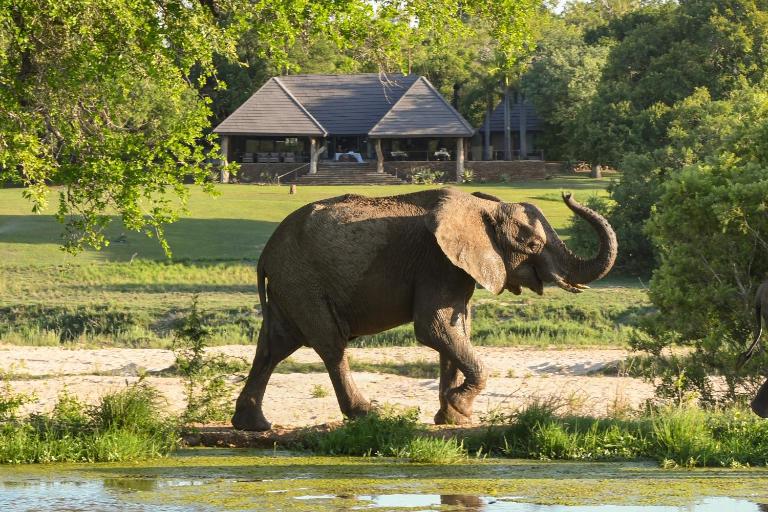 Inyati Game Lodge - B&B Sabi-Sand Game Reserve