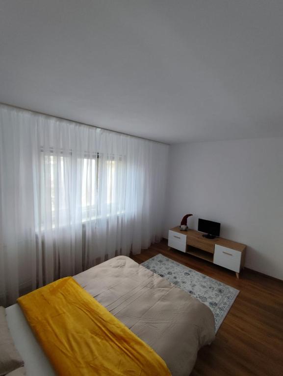 Apartament 2 camere Claudia - B&B Craiova