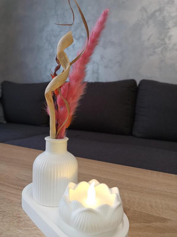 Apartament Royal - Ferienwohnung Şelimbăr