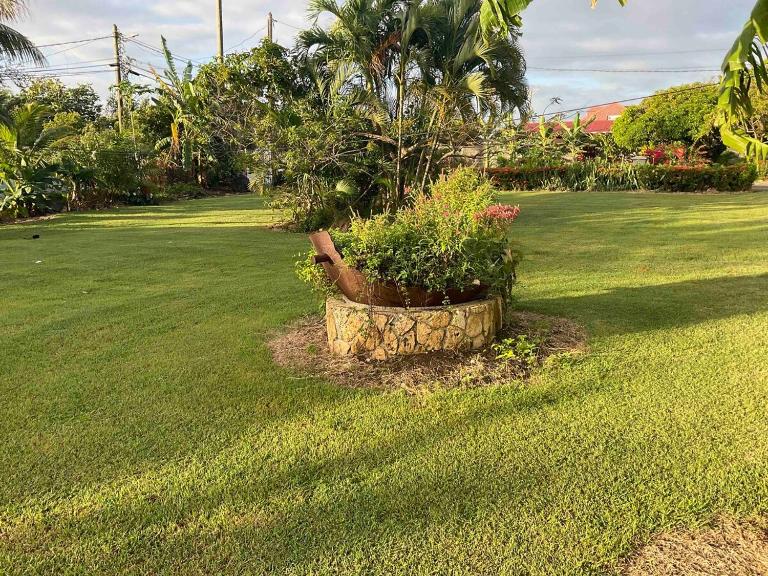 Jardin Creole - B&B Saint-François