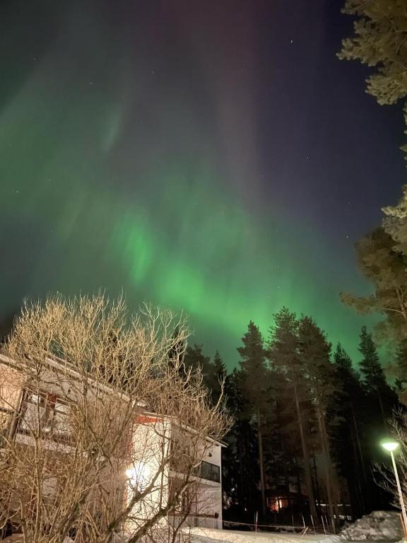 Two bedroom apartment right next to Santapark - B&B Rovaniemi