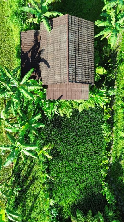 Opik Homestay Tete Batu - B&B Tetebatu