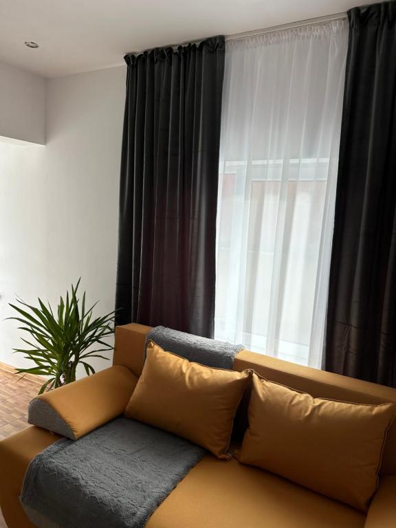 Park House - B&B Baia Mare