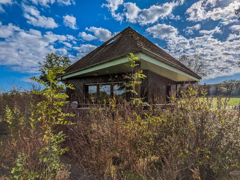 Chalet en pleine nature à Orsennes avec étang à proximité, idéal pour 6 personnes et animaux admis - FR-1-591-170 - Chambres d'hôtes Orsennes