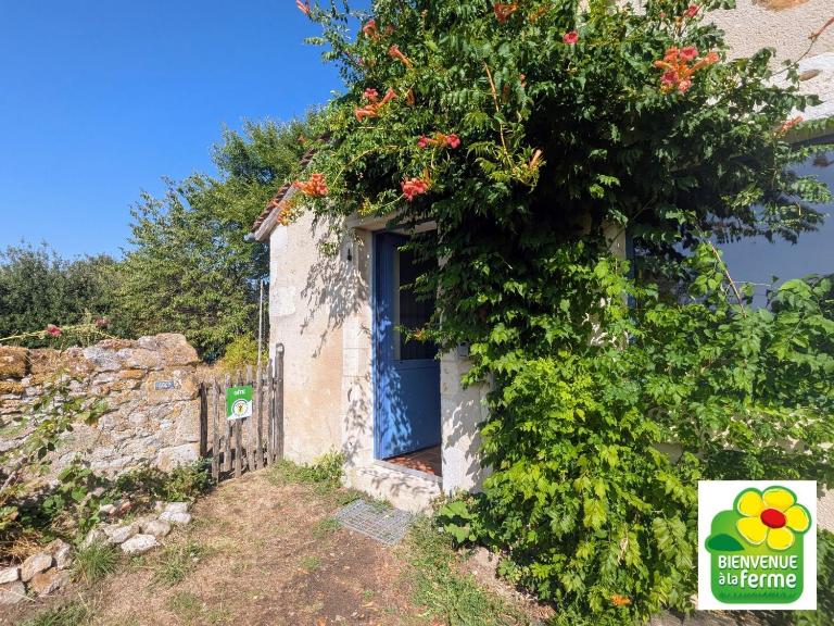 Maison typique en Berry avec jardin privatif, BBQ et parking - FR-1-591-598 - Ferienwohnung Thenay