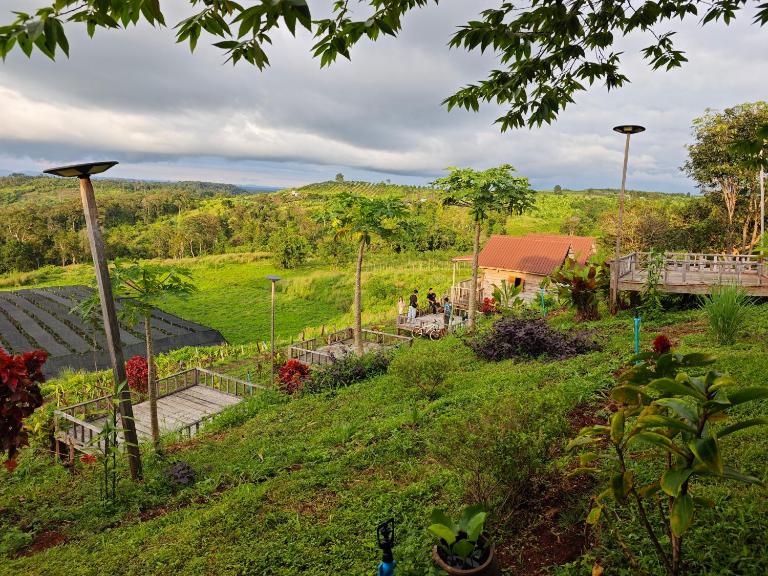 Natural House Farm Stay - Bed and Breakfast Busra