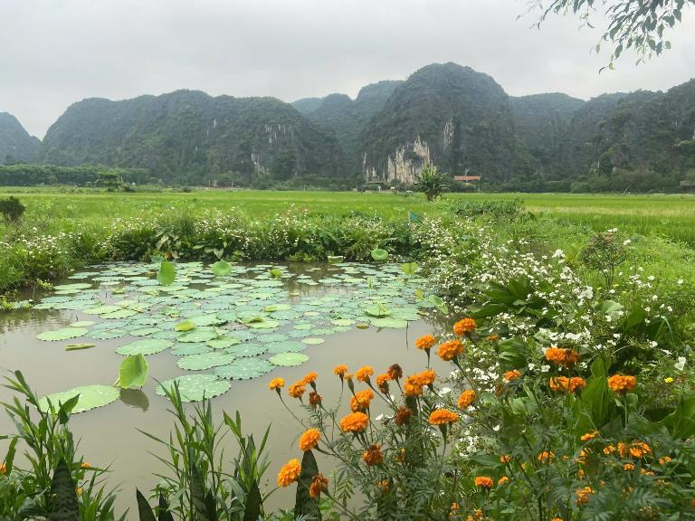 Mountain view Homestay - Ferienwohnung Ninh Binh