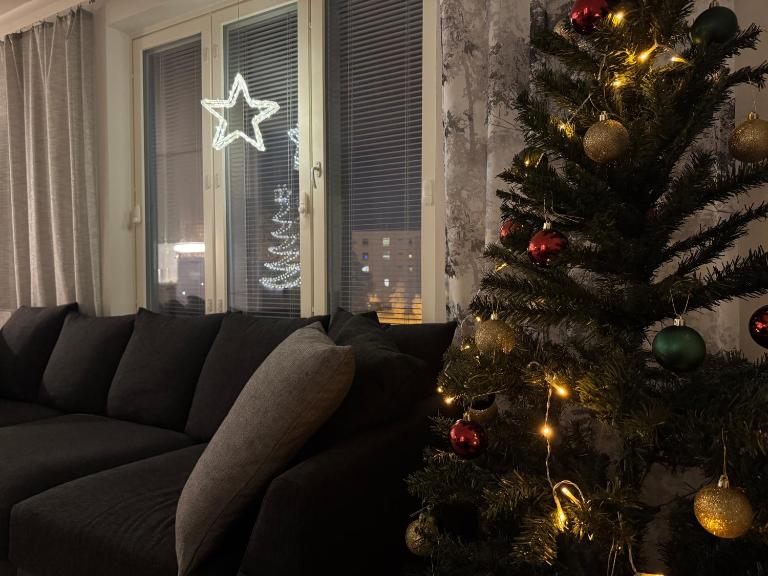 Cozy home with sauna - central location - Ferienwohnung Rovaniemi