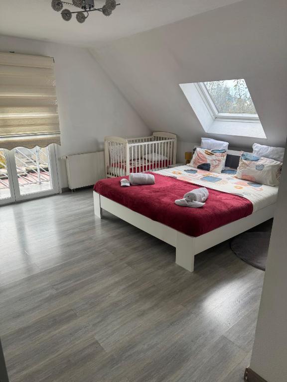 Au petit Logelbach - B&B Wintzenheim
