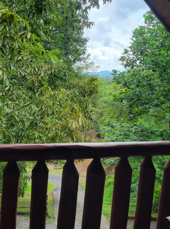 The Cozy Cub - B&B Sevierville