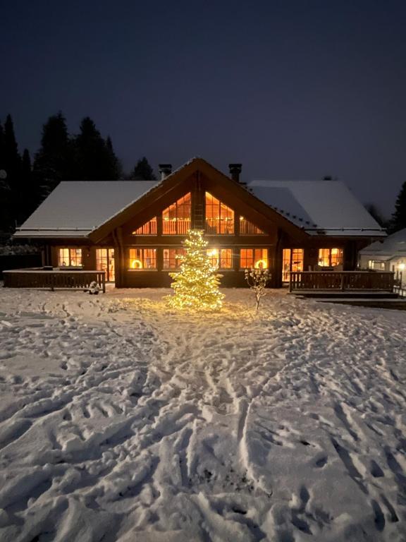 Luxus Blockhaus Willingen - Panoramablick, direkt am Skilift - Ferienwohnung Willingen (Upland)