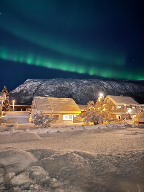 Northern lights Entire Apartment - Chambres d'hôtes Tromsø