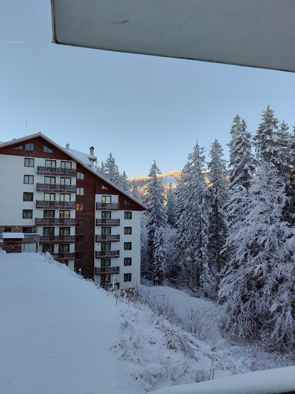 Sunny Mountain View Villa Kometa - B&B Pamporovo