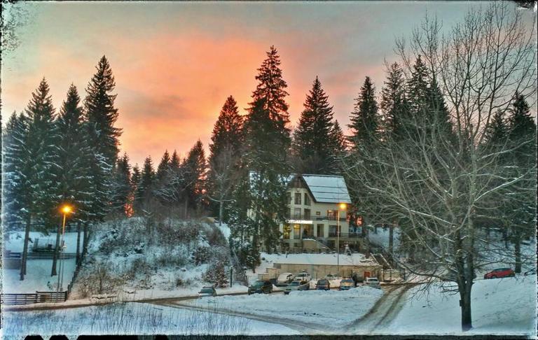 Vila Cristalfrost - B&B Poiana Brasov