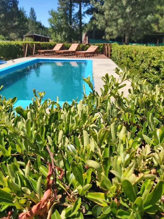 Complejo Del Bosque - Ferienwohnung El Bolsón