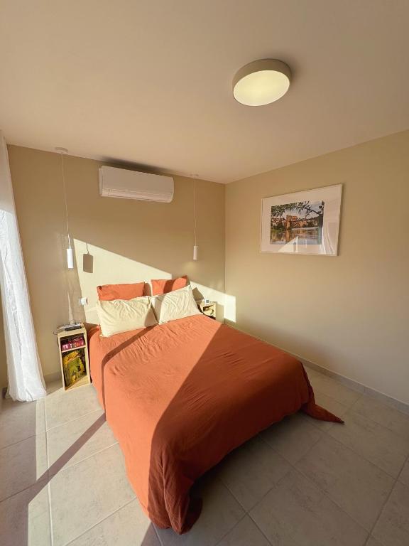 Chambre climatisée et salle de bain privatives, parking - Chambres d'hôtes Lisle-d'Albi
