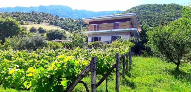 Country Home Genesi 20 min from Trikala - B&B Genési